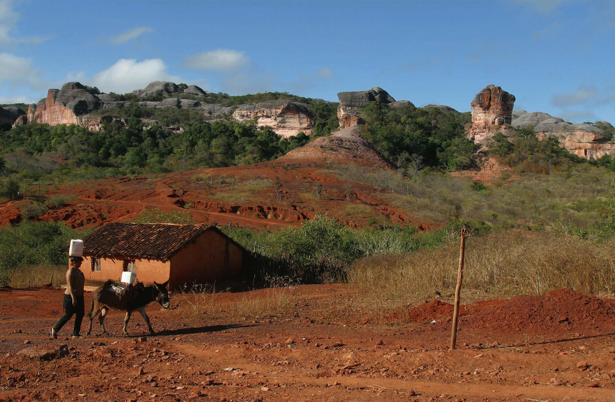 Fome Zero Moradores De Guaribas Cidade Modelo Do Programa Ainda