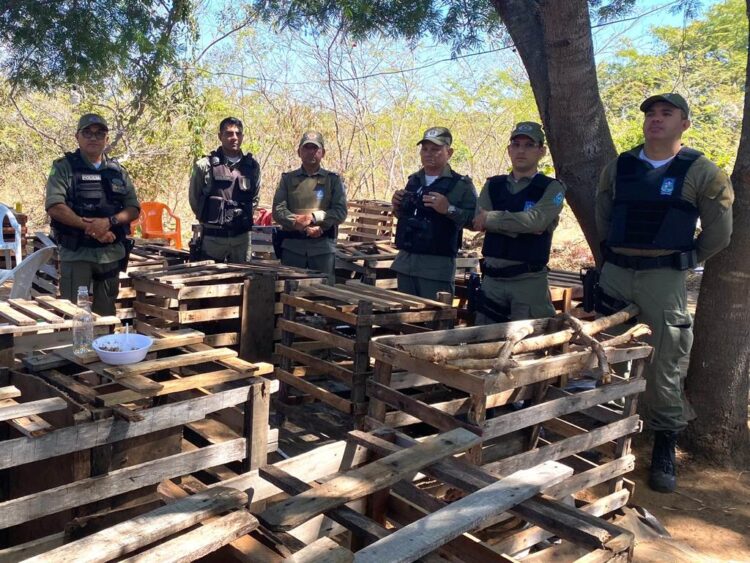 Policiais com caixas de madeira onde eram armazenados os galos